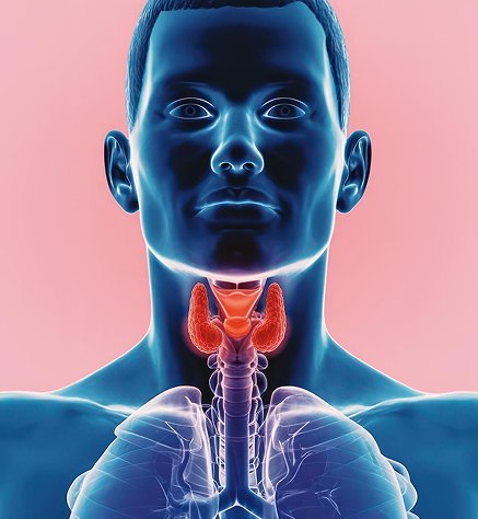 Endocrine Care